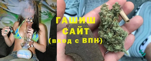 индика Баксан